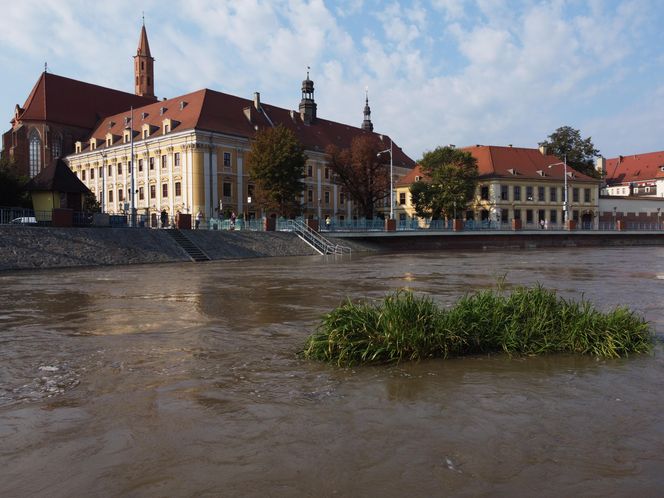 Wrocław - fala w centrum miasta