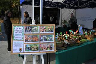 Wystawa „Poznaj grzyby – unikniesz zatrucia” na pl. Teatralnym w Lublinie