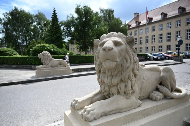 Koszalińskie lwy odzyskały dawny blask