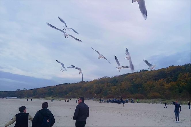 Kołobrzeg po sezonie