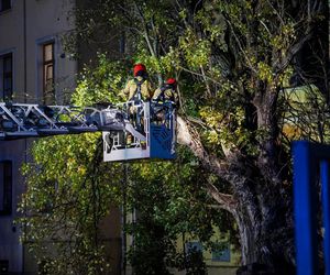 Polska pod naporem wichur! Strażacy nie mieli chwili wytchnienia