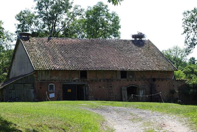 To tu znajduje się bociania stolica Polski. Niezwykła wieś na Warmii [ZDJĘCIA]