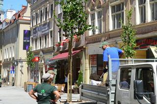 Poznań: Wrocławska się zmienia