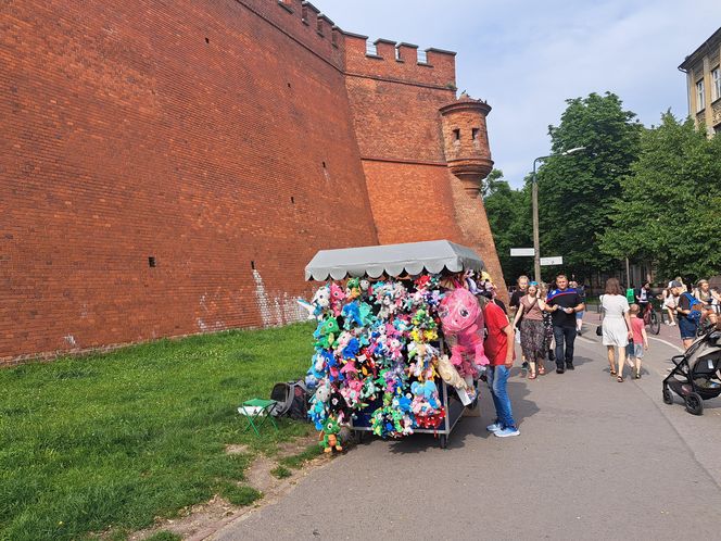 Smoczy Piknik Rodzinny 2025 w Krakowie