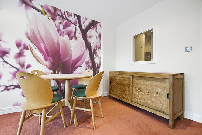 Fototapeta z magnoliami