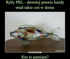 Memy o czasach PRL-u