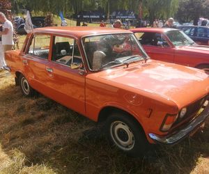 Siedlce:  16. Zlot Pojazdów Zabytkowych „Mrowisko”