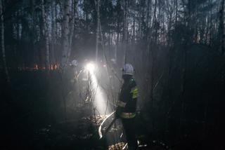 Wyciągnęli padalca z pożogi