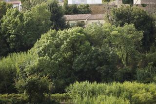 Dom dla introwertyka