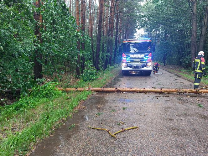 Fatalna pogoda w Białymstoku. Od rana ulewa i silny wiatr [ZDJĘCIA]