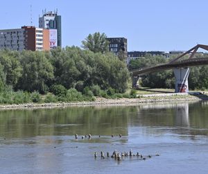 Niski stan wody w Wiśle