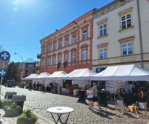 Festiwal Karpaty na Widelcu w Rzeszowie