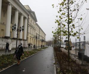 Zabrali miejsca parkingowe i zwęzili ulicę by zrobić ścieżkę rowerową. Biorą się za kolejne ulice