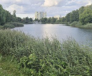 Zielona perła Bartodziejów. Odkryj uroki bydgoskiego Balatonu