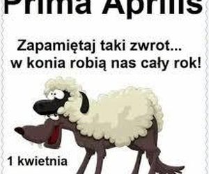 Kartki i grafiki na Prima Aprilis 2025. Pobierz za darmo i świętuj 1 kwietnia z humorem!