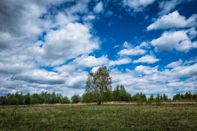 7. Gmina Baligród w powiecie leskim