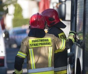 Pożar mieszkania przy ul. Wolności w Zabrzu