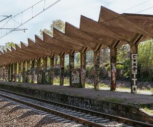 Rewolucyjny projekt stacji Szczecin Pogodno. Czy uda się go ocalić?