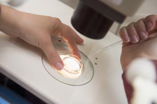 Ustawa o in vitro: co zawiera i jakie kwestie reguluje?