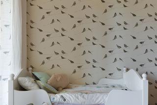 Tapeta w pokoju dziecka: wróble na ścianie, czyli motyw ptaków w pokoju dla dziewczynki!