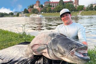Ponad dwumetrowy sum złowiony tuż pod Wawelem! „Ryba bardzo silna, hol wyczerpujący”