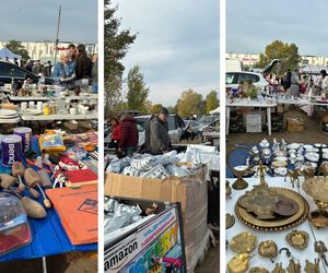 Niedzielny Targ - nowy pchli targ w Poznaniu