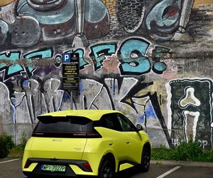 BYD DOLPHIN SURF