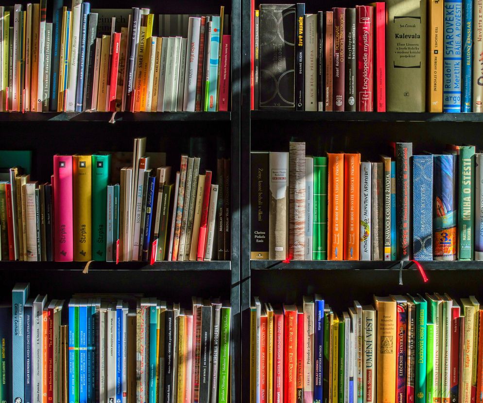 Literacki maj w Bibliotece Norwida