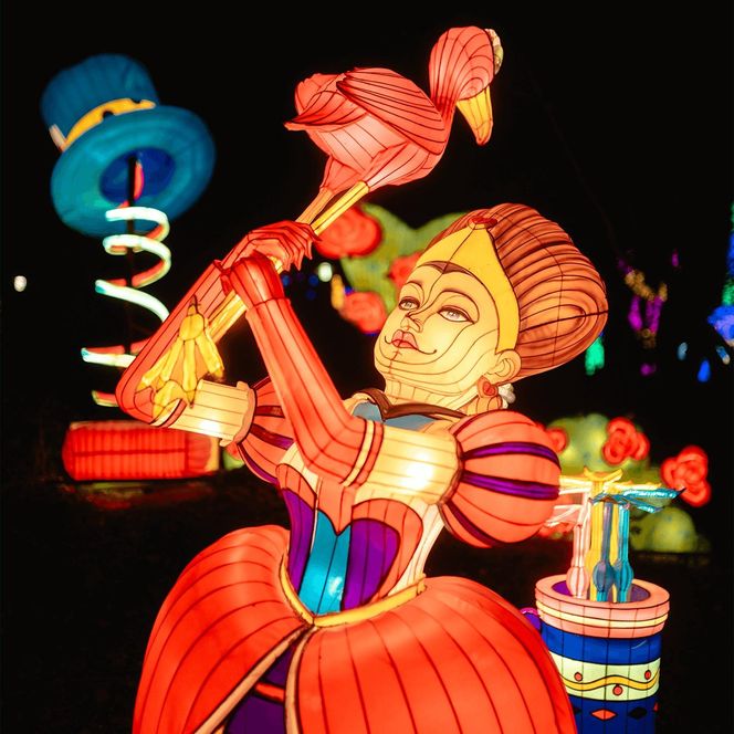 Śląsk zamienia się w Krainę Czarów. Ta magiczna wystawa świateł to absolutny hit jesieni i zimy