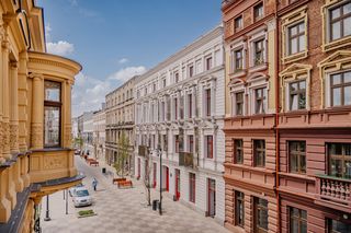 Wydali setki milionów na rewitalizacje Łodzi, a zieleń i tak znika. Powierzchnia koron drzew spadła w 10 z 12 badanych terenów