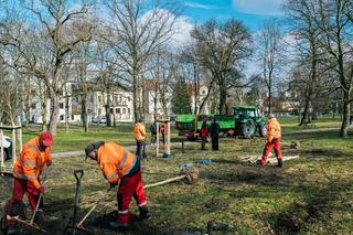 Tej wiosny poznańscy ogrodnicy posadzą setki nowych drzew w miejskich parkach oraz przy drogach