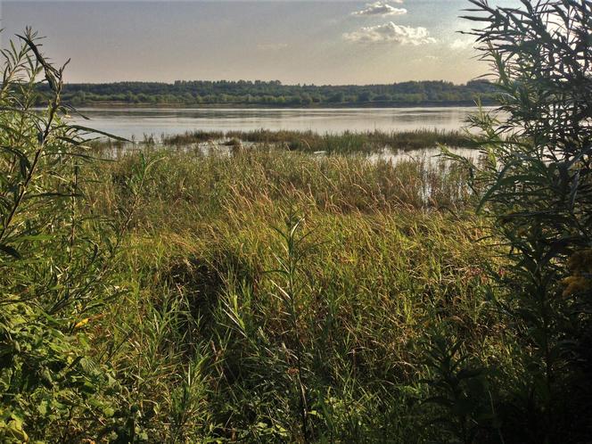 Zamek w Bobrownikach - Widok na Wisłę