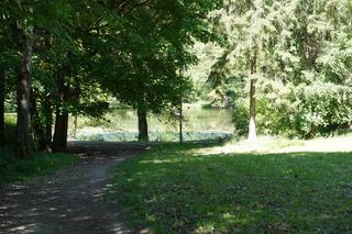 Tajemniczy park na Jakubowie, o którym nie każdy słyszał. Skrywa mroczny sekret [ZDJĘCIA]