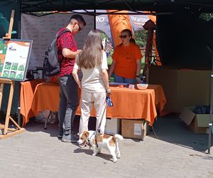 II Spacer Śladami Kliforda w Grudziądzu