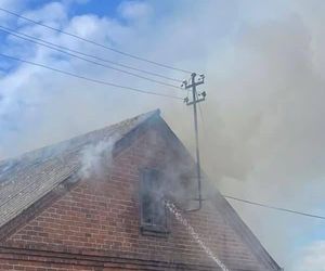 Dzielnicowa z Ostrowa Lubelskiego uratowała sześć zwierząt z płonącego domu