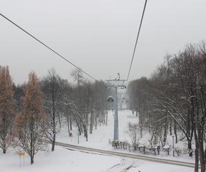 Elka w Parku Śląskim. Widok z góry