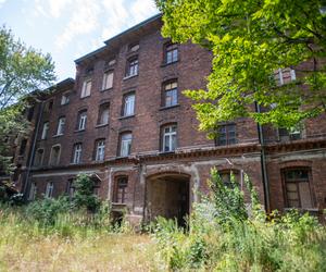 Famuły Poznańskiego ul. Ogrodowa Łódź