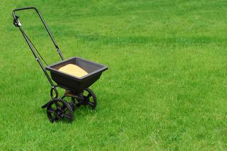 Nawożenie trawnika - jaki nawóz do trawy? Kiedy i czym nawozić trawnik w ogrodzie?