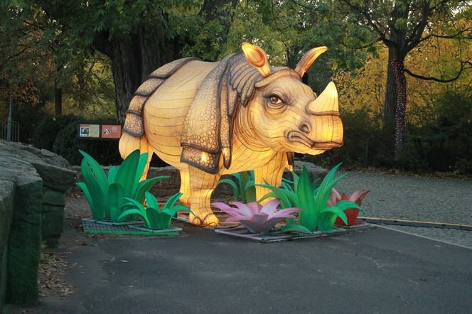 "Garden of Lights" ponownie rozświetlił wrocławskie zoo