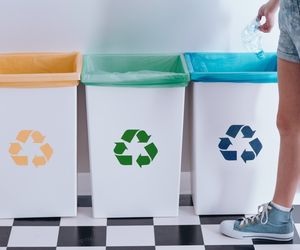 Segregacja śmieci: kolory pojemników na odpady. Co wrzucamy do każdego z nich?