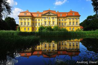Dolnośląski zamek na wyspie wystawiony na sprzedaż. 10 milionów i pałac w Radomierzycach jest twój 