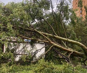 Burze przeszły przez województwo śląskie. Blisko 200 interwencji strażaków. Najwięcej w powiecie raciborskim