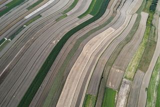 Wyjątkowa małopolska wieś na Szlaku Orlich Gniazd. Zachwycają się nią nawet za granicą 