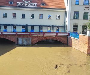 Trwa zabezpieczanie budynków na Wyspie Młyńskiej, na osiedlu Nadodrze 