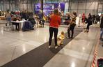 EXPO SILESIA DOG SHOW 2017