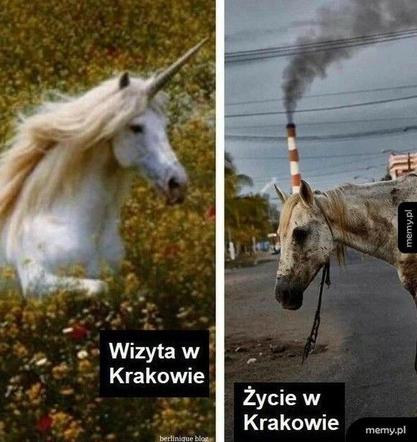 Najlepsze memy o Krakowie. Te grafiki bawią do łez 