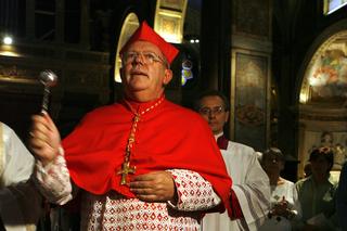Znany kardynał wykorzystał seksualnie 14-latkę! Hierarcha przyznaje się do winy