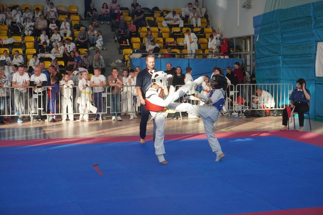 X Międzynarodowy Turniej Karate Shinkyokushin Skarżysko-Kamienna CUP 2024