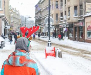 Parada w Mikołajów w Chorzowie na koniec Mikołajowego Festiwalu Czekolady z... owadami