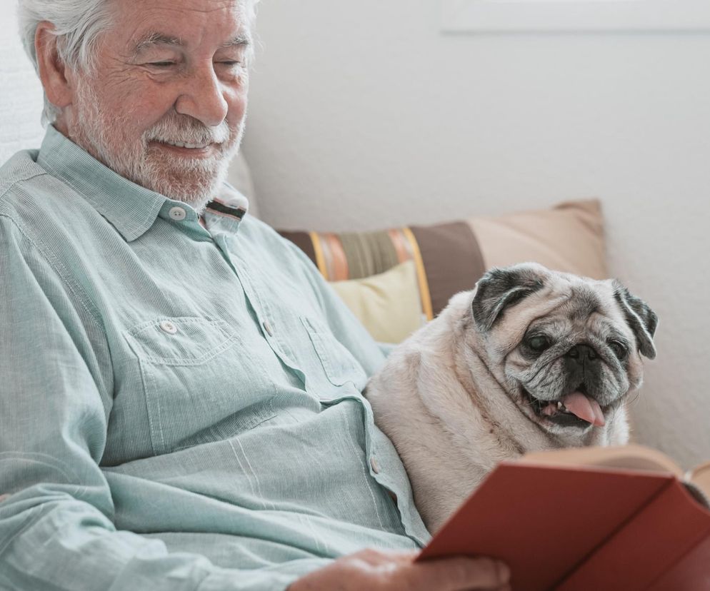 Psy i koty pomogą nam uporać się z nową plagą? Badania wśród seniorów dają nadzieję